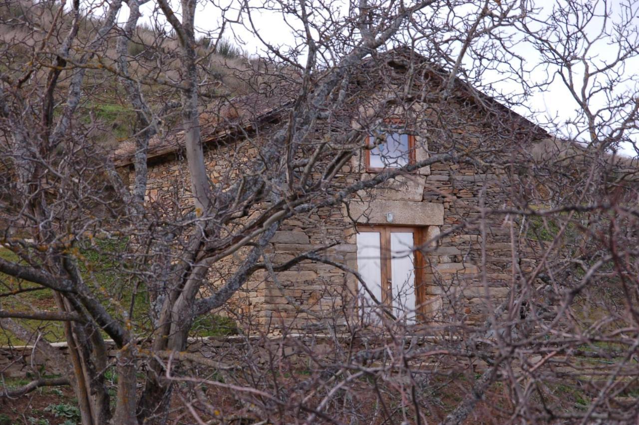 Santa Maria de Émeres Quinta Da Alagoa 빌라 외부 사진
