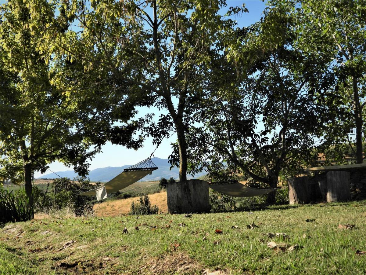 Santa Maria de Émeres Quinta Da Alagoa 빌라 외부 사진