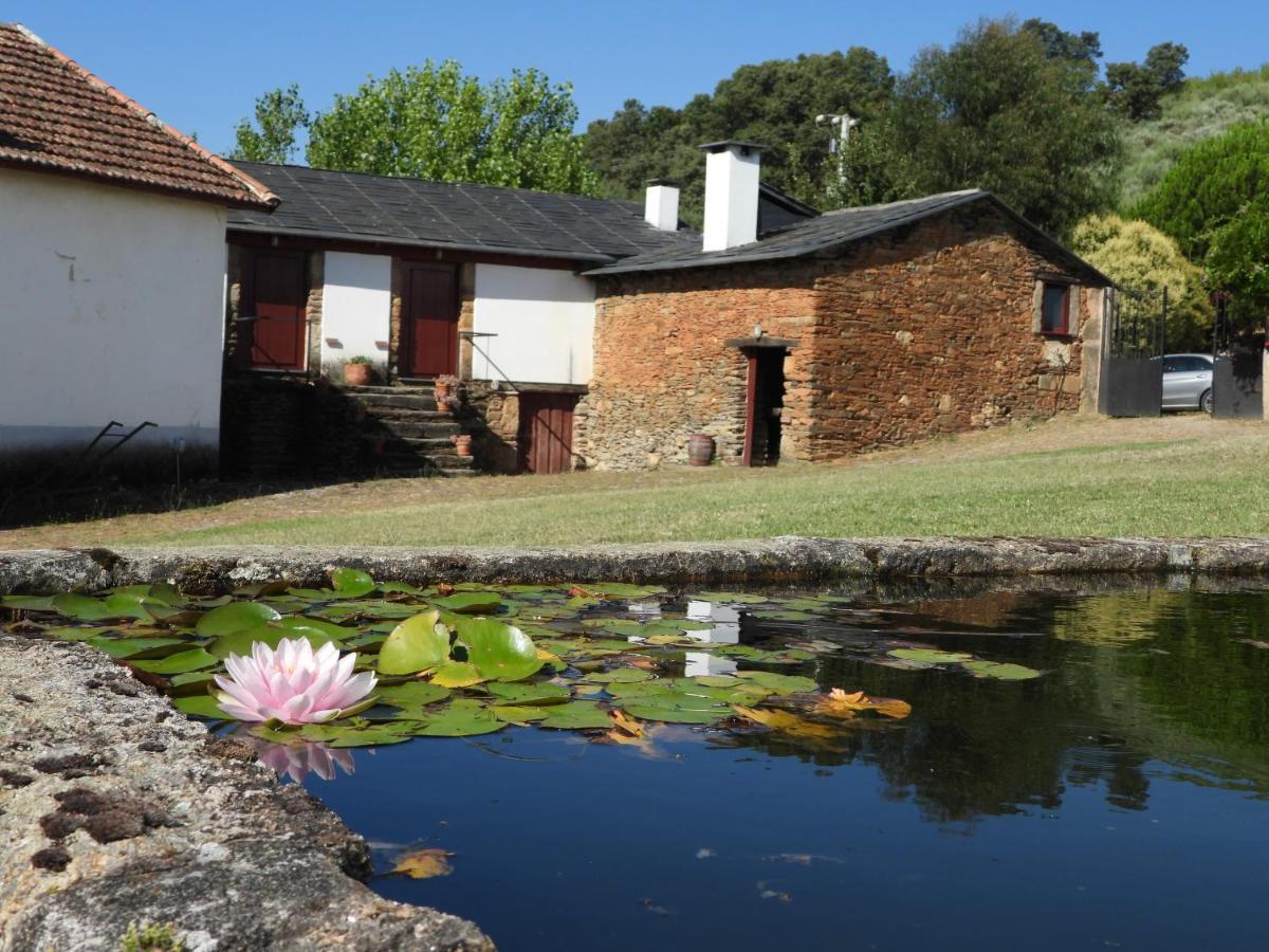 Santa Maria de Émeres Quinta Da Alagoa 빌라 외부 사진