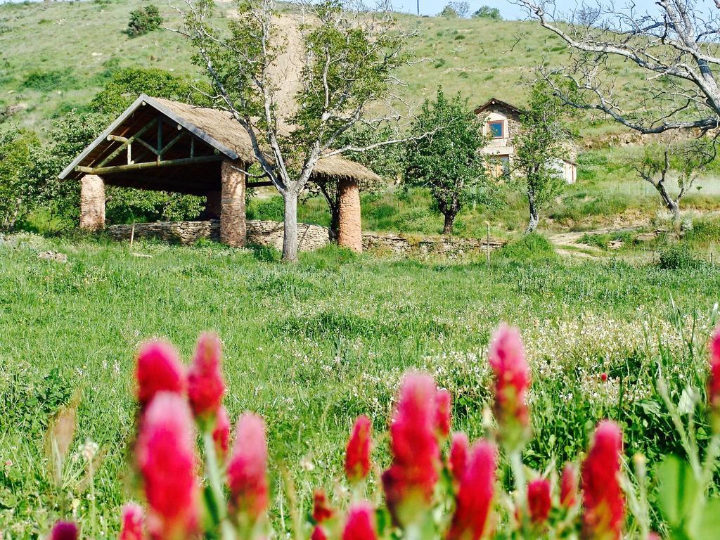 Santa Maria de Émeres Quinta Da Alagoa 빌라 외부 사진