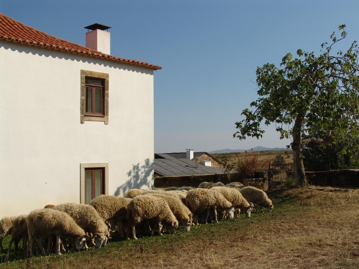 Santa Maria de Émeres Quinta Da Alagoa 빌라 외부 사진