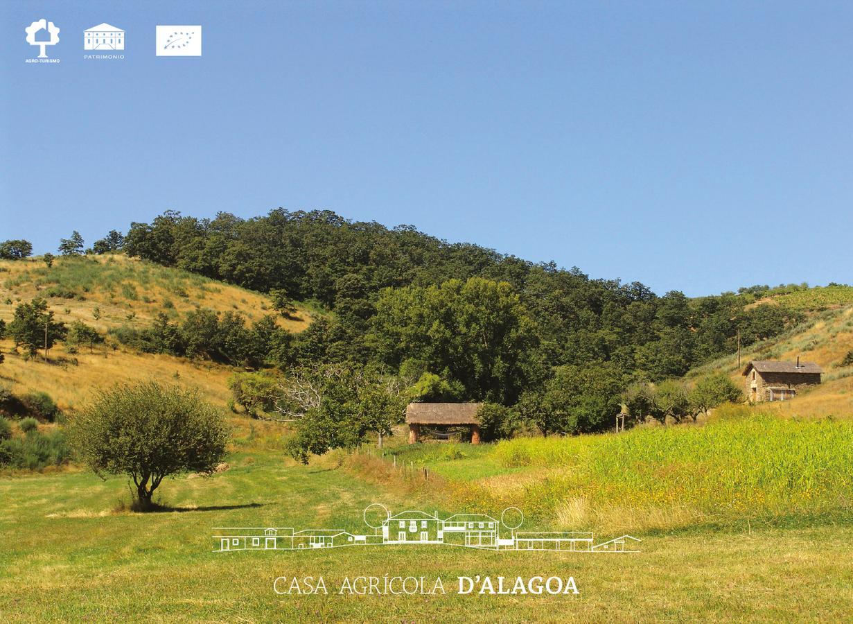 Santa Maria de Émeres Quinta Da Alagoa 빌라 외부 사진