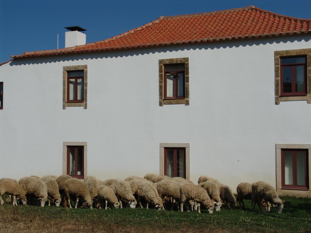 Santa Maria de Émeres Quinta Da Alagoa 빌라 외부 사진